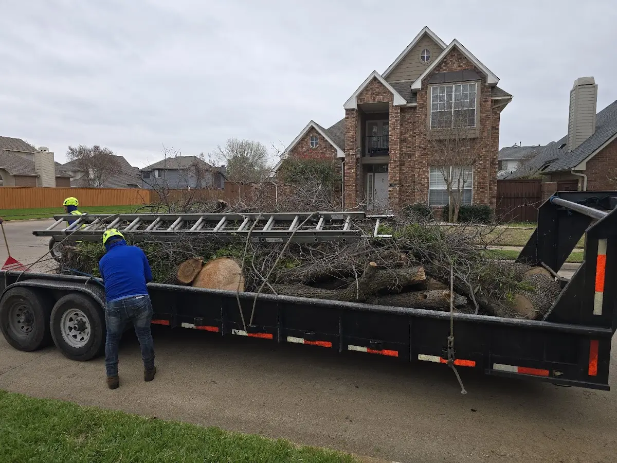 Expert Tree Pest Control with proper safety equipment in Roseboro